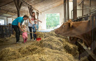 Kuhstall Familienhotel Schreinerhof (Kinder lernen hier etwas über Kühe und dürfen sogar mit helfen.)